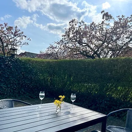 شقة 140 Modern M2 In Quiet Neighborhood With Lovely Courtyard Kjellerup